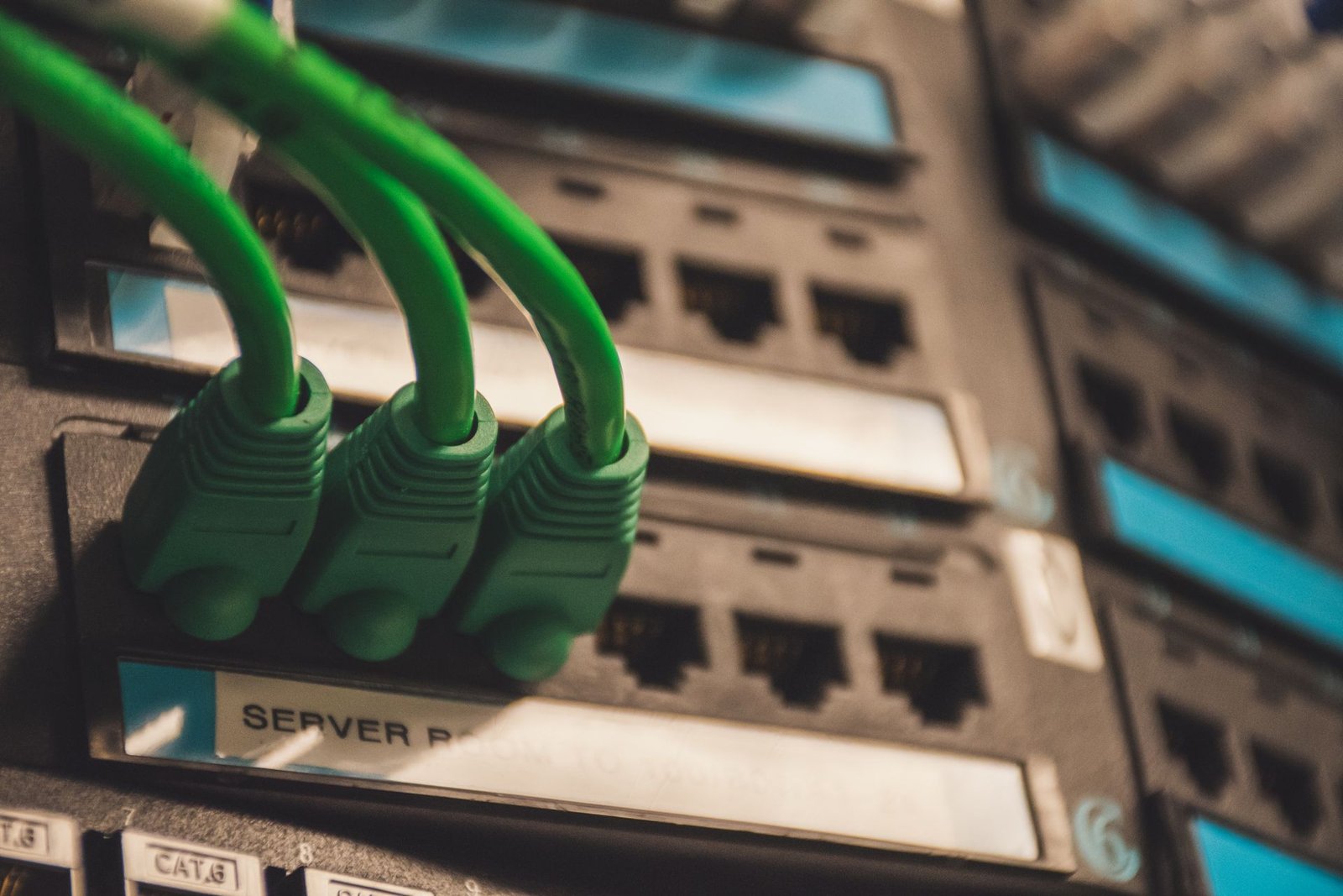 Patch cables plugged into a network switch